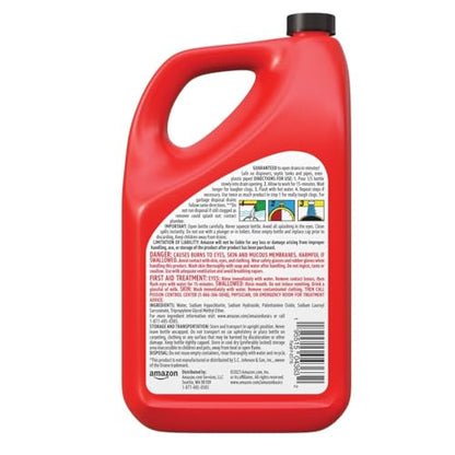 Amazon Basics Max Strength Drain Cleaner Gel, Hair Clog Remover, Dissolves Grease, Safe on All Pipes, 80 Fl Oz (Pack of 2) - size: 80 Fl Oz (Pack of 2)