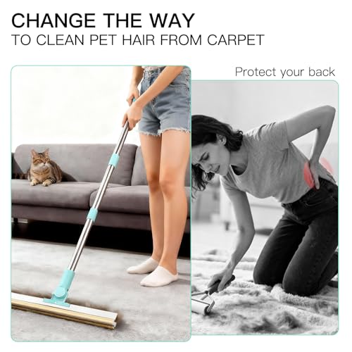 Carpet Rake for Pet Hair Removal, Upgraded 3 In 1 Reusable Dog Hair Carpet Rake Kit, Adjustable Handle for Deep Clean Dog & Cat Hair Remover, Lint Remover Scraper for Carpets, Mats, Rugs, Car&Couch - color: Carpet Rake With Glove 3pcs