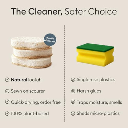 Vove Cleaning Duo, Bamboo Dish Brush Set and Natural Dish Sponges, FSC-Certified Bamboo, Sisal, Loofah, Cellulose, Plastic-Free, Eco-Friendly Zero-Waste Kitchen Dish Scrubber Set - size: Cleaning Duo - Brush Set & Sponges