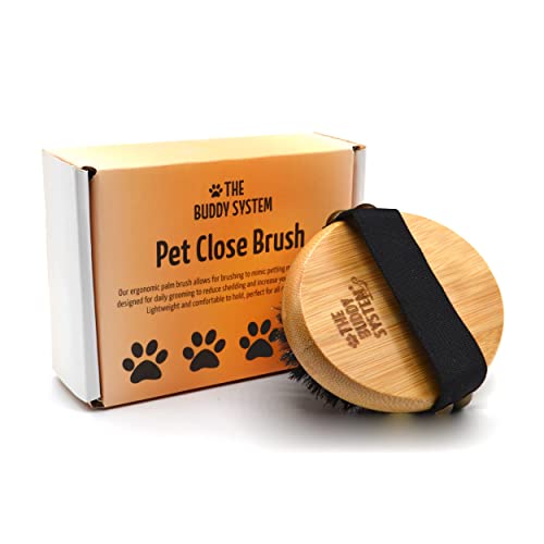 The Buddy System Pet Close Brush, Soft Touch Oval Palm Brush - Bamboo Massage Handheld with Soft Boar Bristles and Elastic Band for Dogs and Cats - color: Boar Bristle
