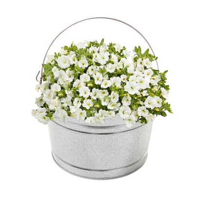 Behrens 4.25 Gallon Galvanized Steel Pail (1 Pail) - style: 1 Pail