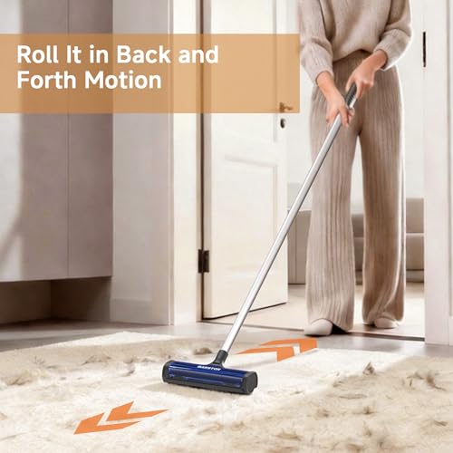 Carpet Hair Removal Tool, Long Handle Dog Hair Remover, Reusable Carpet Sweeper, Pet Fur Remover with Dust Container for Carpet, Rugs, Mats, Furniture, Upholstery
