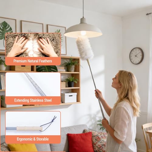 Lambswool Duster Extendable 22–55 Inch Natural Wool Duster with Flexible Head for Ceilings Furniture Blinds Electronics Washable Reusable White - color: White