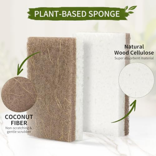 5 PCS Bamboo Dish Brush with Handle Set - Natural Dish Scrubber Brush with 3 Replacement Brush Heads and 2 Dish Sponges for Cleaning Dishes, Pans, Pot, Fruit and Veggie