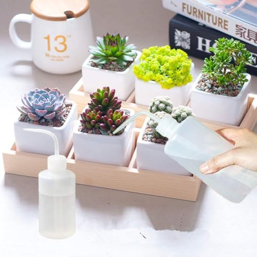2pcs 500ml/17oz Safety Wash Bottle - Green Plastic Squeeze Bottle for Medical Label Soap Cleaning - size: 2x500ml