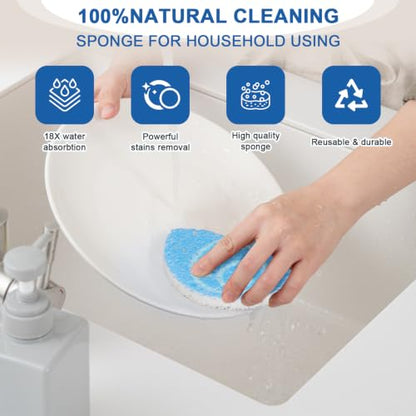 JarThenaAMCS 12 Pcs Summer Kitchen Sponges Coastal Seashell Starfish Turtles Water Absorbing Kitchen Scrub Sponges Dish Washing Cleaning Reusable Sponge for Bathroom Home Non Scratch Cleaning