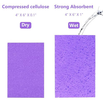 Cellulose Sponges, Large Size 4" x 6" x 1" - Heavy Duty Scrub Kitchen Sponge, Clean Tough Messes Without Scratching Kitchen Cleaning Pads, Pop Up Eco DIY (6 Pack), Purple - color: Purple