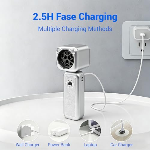 Compressed Air Duster, 2000mAh Battery with Up to 2 Hours of Run Time, 4-in-1 Multifunctional Design, Dust Blower for Computers, Keyboards, Home, Outdoor Use, and Cars（White） - color: White