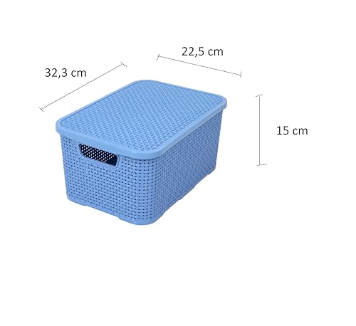 BranQ Home essential Basket with Lid in Rattan Design, Set of 2, Size M, 10 L, BPA-Free Plastic PP, Denim Blue, 28.8 x 19.7 x 16.2 cm, Pack of 2 - color: Denim Blue, size: 10 l