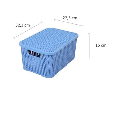 BranQ Home essential Basket with Lid in Rattan Design, Set of 2, Size M, 10 L, BPA-Free Plastic PP, Denim Blue, 28.8 x 19.7 x 16.2 cm, Pack of 2 - color: Denim Blue, size: 10 l