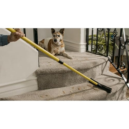 Pet Hair Remover Broom, Rubber Bristle Brush for Removing Dog & Cat Hair from Carpet, Furniture & Floors