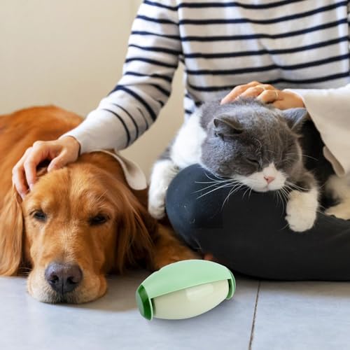 2pcs Reusable Washable Lint Roller, Mini Lint Roller Travel Size Cat Dog Hair Roller Ball Portable Pet Hair Sticky Remover Fabric Shaver Cleaner for Clothing Sofas Debris Dust (Green)
