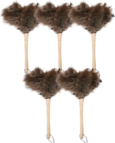 Ostrich Duster Fluffy Natural Feather Dusters with Wooden Handle Cleaning Supplies for Home Office Car (5, 16inch) - color: Natural-c-5pcs