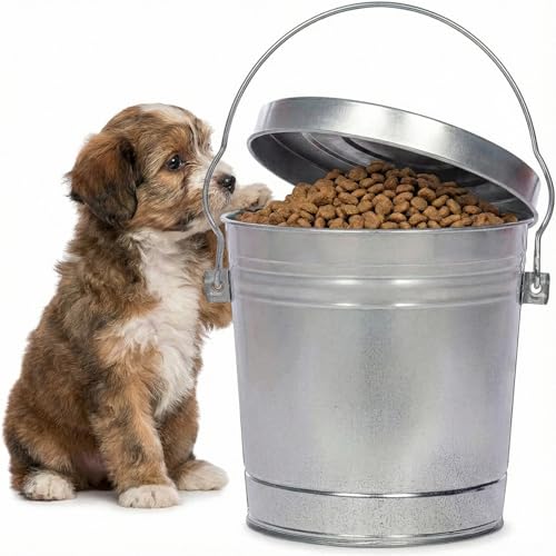 6-Gallon,Galvanized Steel Locking Lid Storage Can-Rustproof Dry