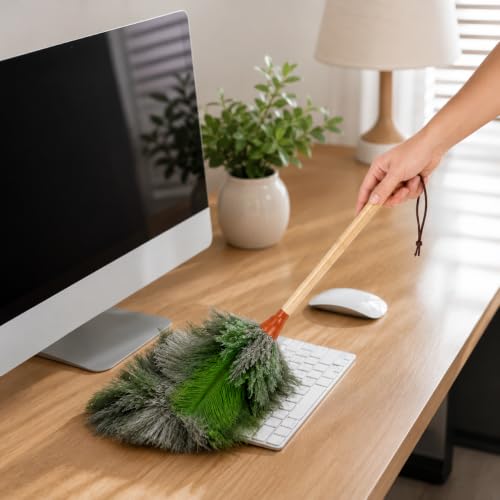 16inch Natural Good Ostrich Feather Duster with Bamboo Handle, Electrostatic Dust Remove for Ceiling，Fans，Bookshelves, Sofa, Windows, Fit for Home, Office and Cars Duster Green - color: Green