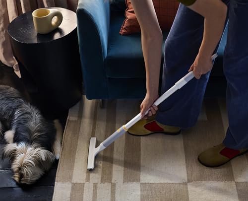 Joseph Joseph CleanTech Carpet Rake, 2-in-1 Manual Tool for Pet Hair & Deep Cleaning on Rugs and Carpet Edges - style: Carpet Rake