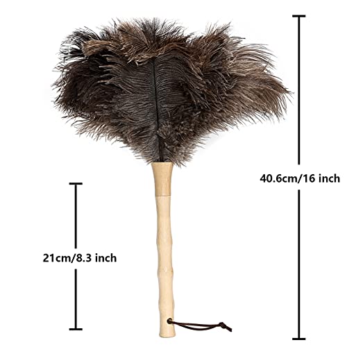 Ostrich Feather Duster 16 inch Feather Duster Fluffy Natural Genuine Ostrich Feathers with Wooden Handle and Eco-Friendly Reusable Handheld Ostrich Feather Duster for Cleaning Supplies - color: Model-a-brown-2 Pieces