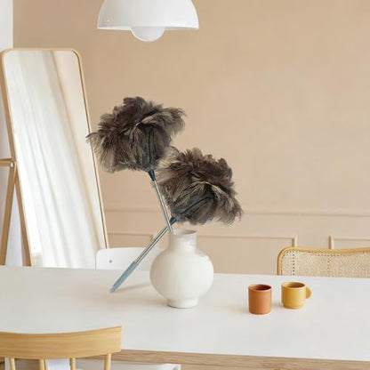 NCEDN Genuine Ostrich Feather Duster 40 Inches - Extendable Stainless Steel Handle, 8 Inches Long Thick Feathers, Telescopic Duster for Ceiling Fans, Blinds, Furniture, Car, Washable - color: Natural