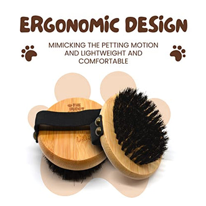 The Buddy System Pet Close Brush, Soft Touch Oval Palm Brush - Bamboo Massage Handheld with Soft Boar Bristles and Elastic Band for Dogs and Cats - color: Boar Bristle