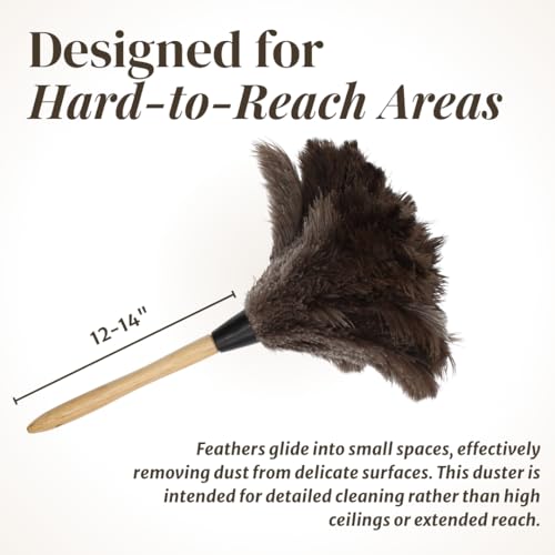 Ostrich Feather Duster with Wooden Handle 14" – Natural Reusable Feather Duster for Cleaning, Furniture & Shelves, Blinds, Ceiling Fan, Dusting Tool for Home, Office, Delicate Surfaces - 1 Pack - size: 1 Pack
