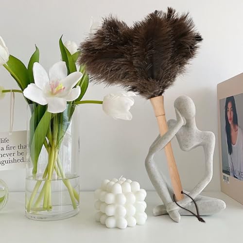 Ostrich Duster Fluffy Natural Feather Dusters with Wooden Handle Cleaning Supplies for Home Office Car (5, 16inch) - color: Natural-c-5pcs