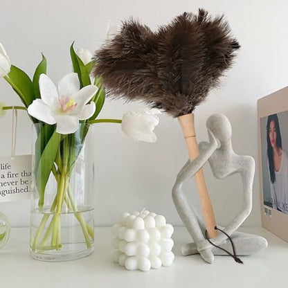 Ostrich Duster Fluffy Natural Feather Dusters with Wooden Handle Cleaning Supplies for Home Office Car (5, 16inch) - color: Natural-c-5pcs