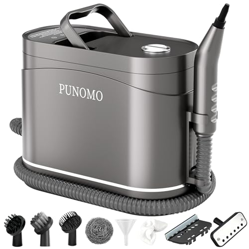 Steam Cleaner for Home, Pressurized Portable Handheld & Mop 2-in-1 Steamer for Cleaning with 10 pcs Accessories for Multi-Surface Cleaning, Floors, Tiles, Grout, Kitchen, Bathroom, Couch