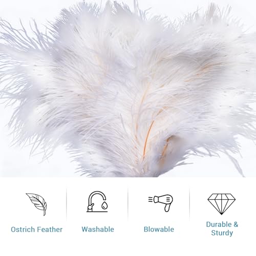 Extendable Feather Duster 22–47 Inch, Long Handle Ceiling Fan Duster for High Ceilings, Cobweb Duster, Natural Ostrich Feather Cleaner for Furniture & Blinds(White) - color: White