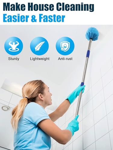 Cobweb Duster with Extension Pole, 10 ft Spider Web Brush for Outdoor House Cleaning, Cob Web Remover for High Ceilings Fans, Medium-Stiff Bristles Head, Adjustable Long Handle, Lightweight Cleaner - size: 10 FT