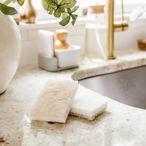 Full Circle Coconut Scrubber Sponges, Pack of 6 – Dual-Sided, Plant-Based Sponges Made with Coconut Shells, Cellulose & Recycled Materials, Safe for Nonstick Cookware - size: Coconut Sponge 6pk