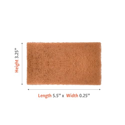 Full Circle Neat Nut – Walnut Scour Pads, Pack of 3 – Dual-Sided Non-Scratch Dish Scrubbers Made with Plant-Based & Recycled Materials, Durable Kitchen Cleaning Supplies