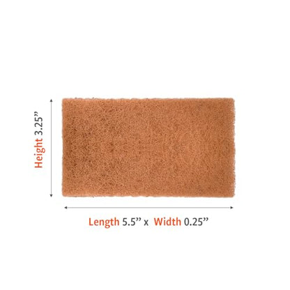 Full Circle Neat Nut – Walnut Scour Pads, Pack of 3 – Dual-Sided Non-Scratch Dish Scrubbers Made with Plant-Based & Recycled Materials, Durable Kitchen Cleaning Supplies