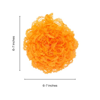 Reusable sponge, washable scrubber, non-scratching, odorless dish scrubbie - Peony collection 1ct (Orange) - color: Orange