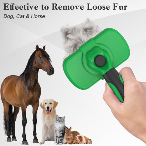 Dipoo Self Cleaning Deshedding Brush for Dogs & Cats - Skin Friendly Grooming Tool with Hair Removal for Haired Pets, Green - color: Green