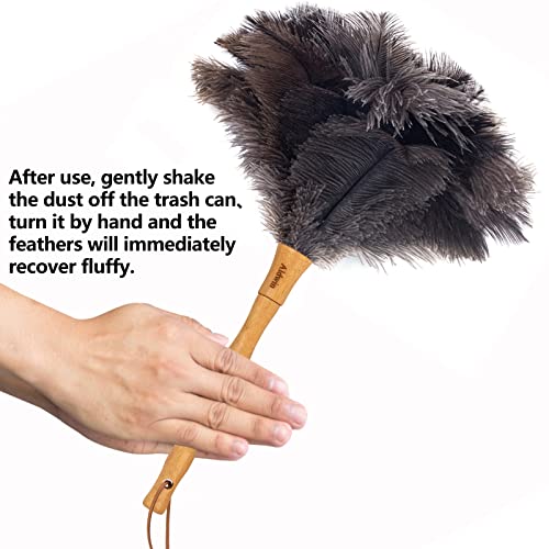 Aldwin Ostrich Feather Duster, 16 inch Ostrich Feather Duster with Wood Handle Reusable, Fluffy Natural Genuine Handheld Feather Duster for Cleaning Supplies, Home, Car, Office - color: Gray
