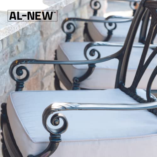 AL-NEW Patio Cushion Cleaner | Safe For Use On Outdoor Fabrics Such As Patio Cushions, Awnings, Furniture Covers, and more (32 Ounce) - style: Pack of 1
