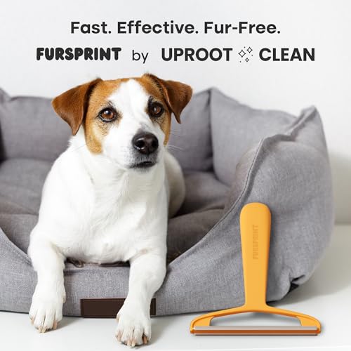 Pro Pet Hair Removal Tool – Dog & Cat Hair Scraper for Carpet, Couch, and Car – Reusable Carpet Hair Removal Tool & Fur Scraper for Upholstery, Rugs, Furniture, and Car Interiors - color: Pro