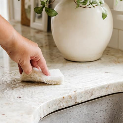 Full Circle Coconut Scrubber Sponges, Pack of 6 – Dual-Sided, Plant-Based Sponges Made with Coconut Shells, Cellulose & Recycled Materials, Safe for Nonstick Cookware - size: Coconut Sponge 6pk