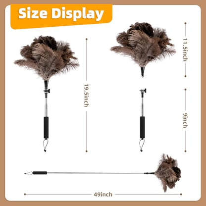 Extendable Ostrich Feather Duster with 19-49 inch Rotatable Stainless Steel Pole, Natural Feather Duster for Ceiling Fan Cobweb Dusting, Reusable Flexible Cleaning Duster(Include 1 Replacement Heads) - color: 49in-brown
