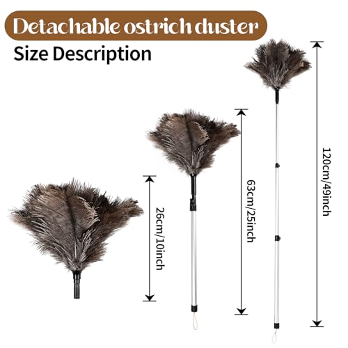 Extendable Ostrich Feather Duster up to 25-49 inches Fluffy Feathers Long Handle Reusable for Cleaning Ceiling Fan Pendant lamp Feather Duster 1pcs - color: Natural-b-1pcs