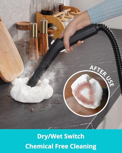Steam Cleaner for Home Upholstery Grout Floor Bathroom Car Cleaning | 40s Fast Heating, 2.5L No Pressurized Large Tank, 21 PCS Kit, No Cooling & Refill Anytime, Detachable Hose & Easy to Store - color: White