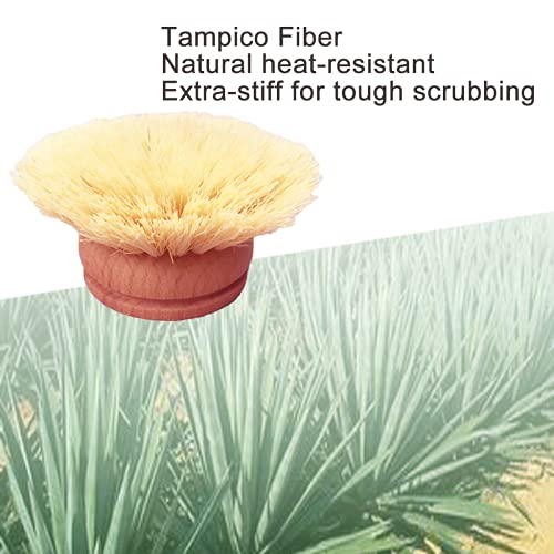 AMERWASH PLUS Classic Dish Brush Replacement Head 3 Packs, Natural Bristle Tampico Fiber for All Purpose Cleaning, Kitchen Scrubber - size: 3 Piece Brush Head Set