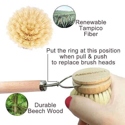 AMERWASH PLUS Dish Brush with Wooden Handle, Natural Kitchen Brush for Dishes Vegetable, Pots and Pans, Tampico Fiber Bristles Scrubber, Extra 3 Pack Replacement Head Included - size: 4 Piece Brush Set with Replacement Heads