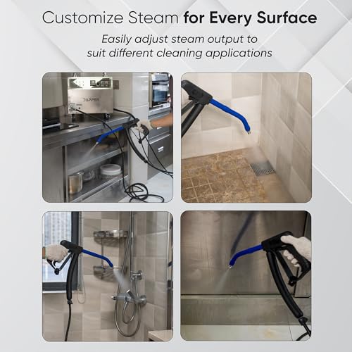 Dapper Supply Commercial Steam Cleaner, 230°F High-Temperature Steam, 58-102 PSI Adjustable Pressure, 1 Gallon Water Tank, Fast Heat-Up, for Auto Detailing, Tile, Grout, Kitchens & More - size: 1 Gal