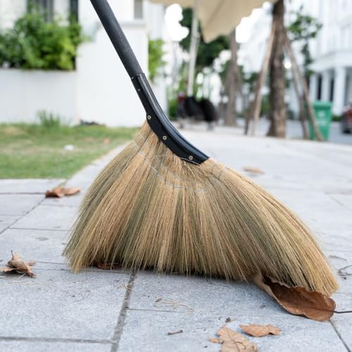 Vietnamese Straw Soft Broom - Indoor Grass Broom - Sweeping Hand with Black Long Handle Broomstick for House, Garage, Office, Lobby Room, Kitchen with 56.69 in Length - color: Black