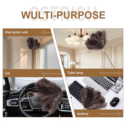 Extendable 81.9 Inch Ostrich Feather Duster with Extension Used for Home Cleaning Ceilings Furniture Fans Washable（1.8M Telescopic Rod,Grey） - color: Gray, size: 81Inch