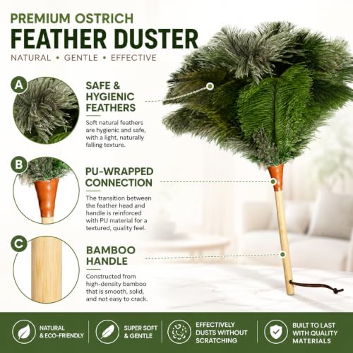 16inch Natural Good Ostrich Feather Duster with Bamboo Handle, Electrostatic Dust Remove for Ceiling，Fans，Bookshelves, Sofa, Windows, Fit for Home, Office and Cars Duster Green - color: Green
