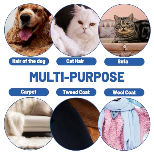 LELE LIFE 3pcs Pet Hair Removal Tool, Double-Sided Carpet Scraper Pet Hair Remover Carpet Rake, Cat Dog Hair Remover for Couch Rug Furniture Car