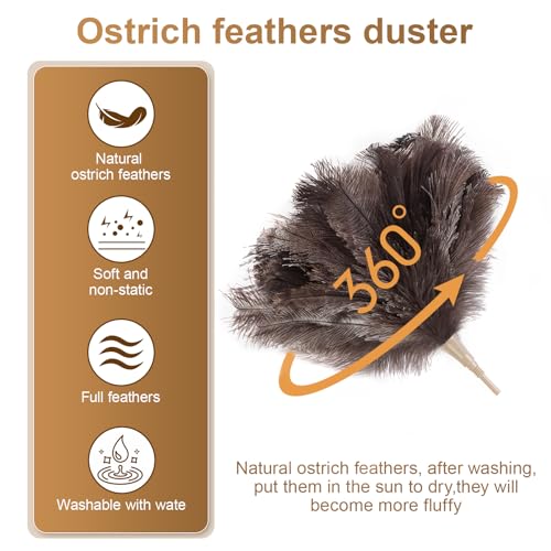 Extendable 94.5 Inch Ostrich Feather Duster with Extension Used for Home Cleaning Ceilings Furniture Fans Washable（210cm Telescopic Rod,Grey） - color: Gray, size: 94Inch