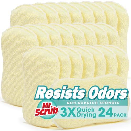 Mr. Scrub Sponges Kitchen Scrub Dish Sponge Scouring Pad, 24 Pack Cleaning Brush Scrubber Supplies for Soap, Dishwashing Dinnerware Sets Pan Pot Glass Dishwasher Sink Bathroom Towels Cloth Rags Holder - size: 24 Pack